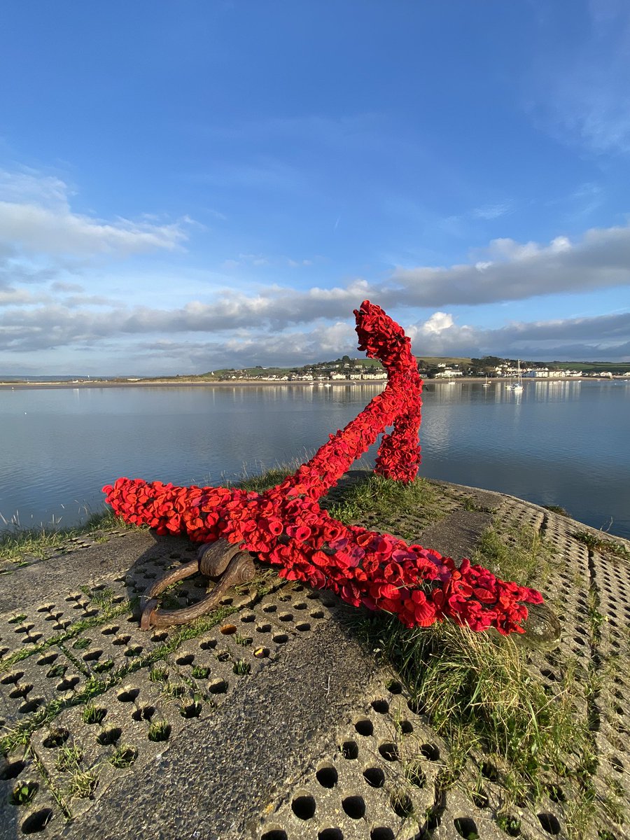 Remembrance Sunday appledore #northdevon #lestweforget2024 #poppy #RemembranceSunday