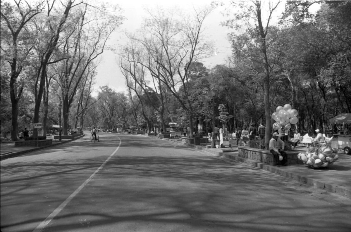 mafcultura's tweet photo. Memoria fotografica o
MX-MAF-DGCSGDF--27705 29 BOSQUE, ZOOLÓGICO, CASTILLO, LAGO Y ALTAR A LA PATRIA EN CHAPULTEPEC MAYO 30 1987

#Memoria #memoriafotográfica #fotografía #acervomaf #foto #mafmuseo https://t.co/plxOu68u3V