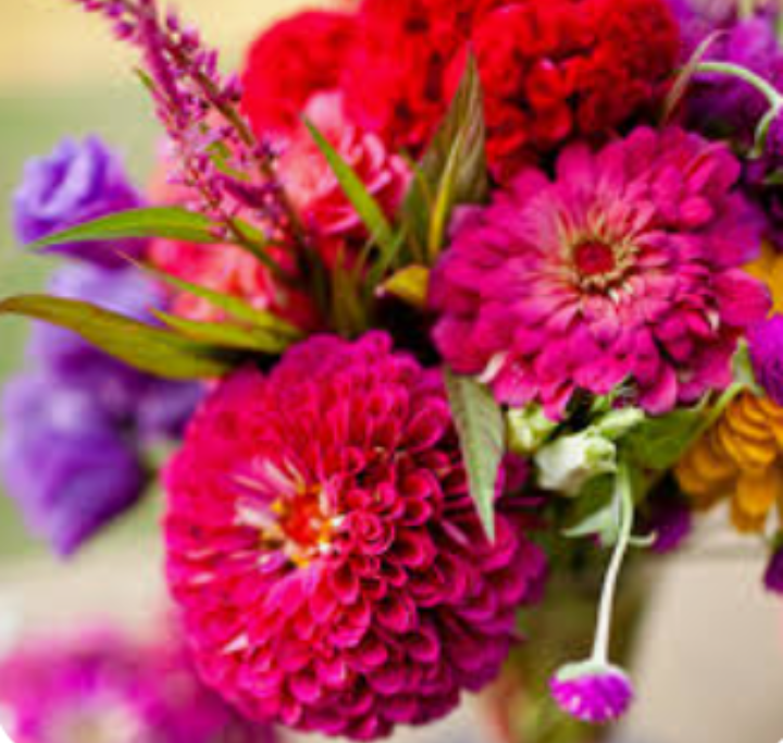 Victoria Brownworth tweet media