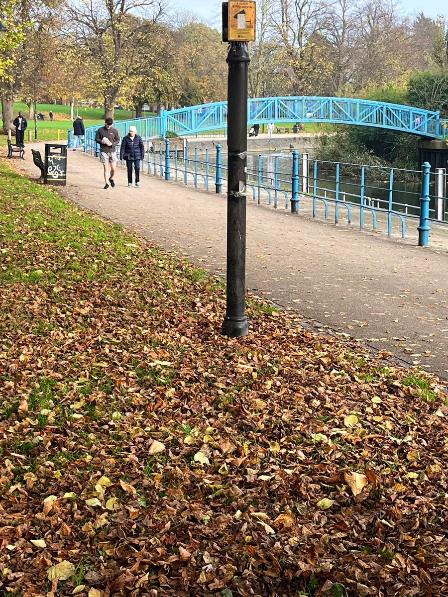 BuddiesOfBeckets BOB tweet media