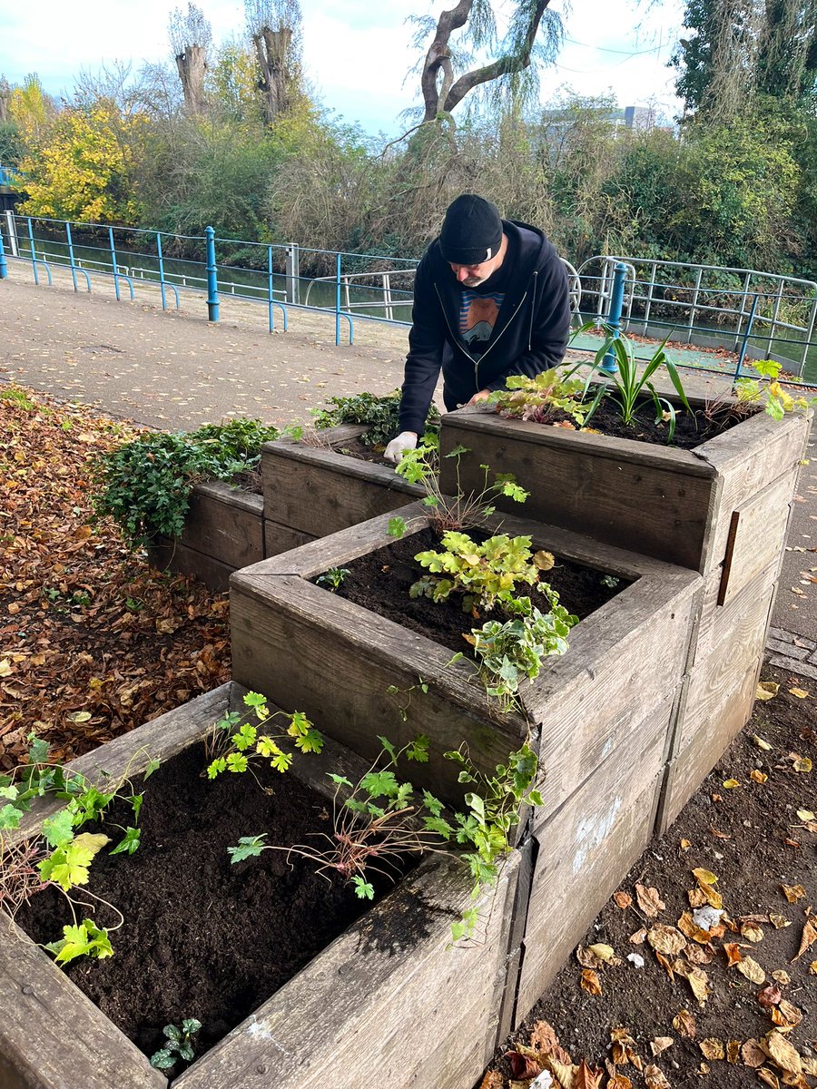 BuddiesOfBeckets BOB tweet media