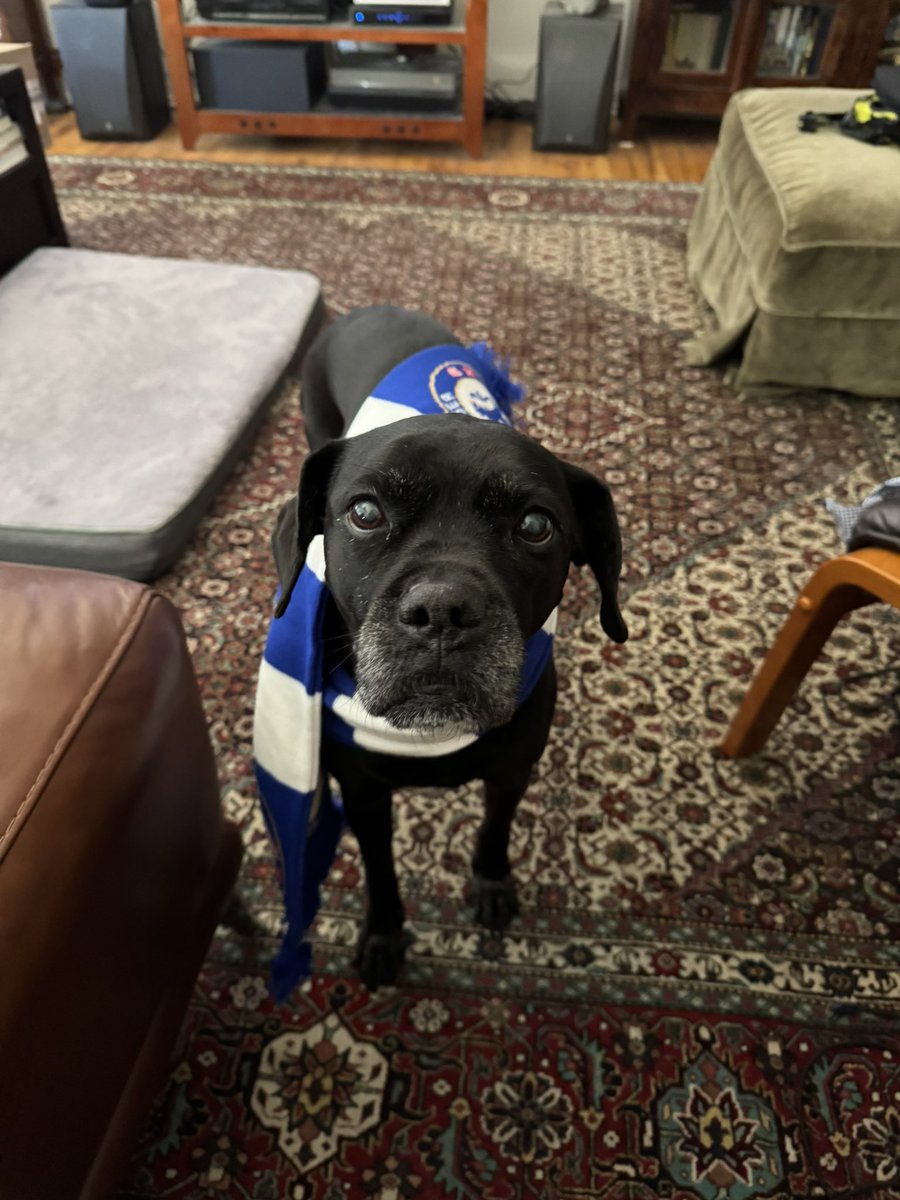 .<a href="/NBCSportsSoccer/">NBC Sports Soccer</a> Suzy says, “C’mon Chelsea!” #MyPLMorning #ChelseaFC #rmbs