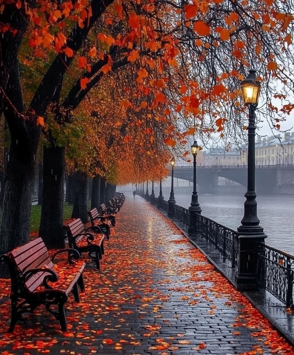 My favorite time of the year ❤️