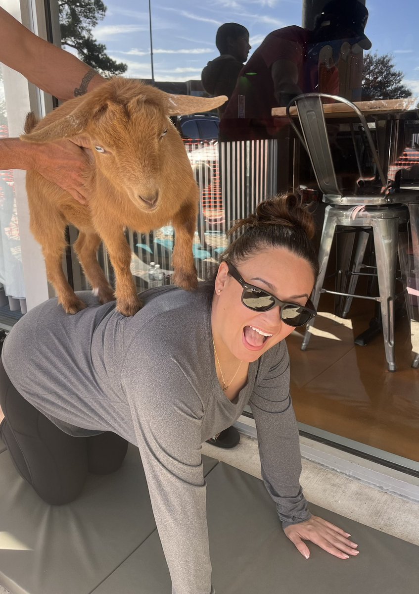 FunWithGoatsss's tweet photo. Thank you to everyone who came out today to https://t.co/IB5cONuxkS Goat Yoga @MoMac Brewing Company!!!
❤️🐐🧘‍♀️

#goats #funwithgoats #goatyoga #goatgoals #goatlife #portsmouth
#goatourism #funwithfriends #goatlovers #GoatGang #zen #goatsofx #thingstodoinportsmouth #love ❤️ https://t.co/cWvBWOx4FG