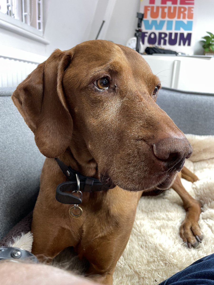 Dom Hawes tweet media