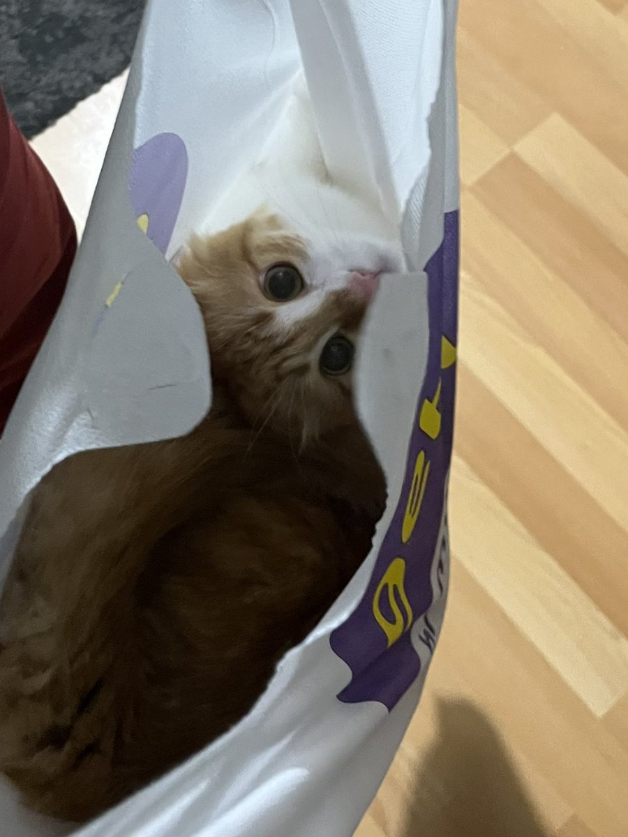 getirden sipariş verdim leziz duruyo