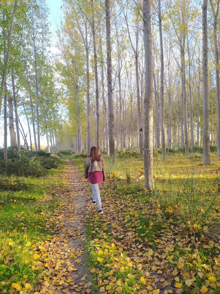 ClarBZ's tweet photo. Como se gestiona no saber oficialmente si tú examen es en un par de semanas o se aplaza tres meses... y todo ello sin fecha publicada
Pues como se puede, mientras tanto estudiar, pasear y respirar
🍂 #riberadelebro
🍃 #otoño https://t.co/ECUy5OGKuy