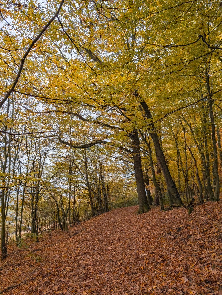 spessartbu's tweet photo. Heute bin ich den Europäischen Kulturweg "Apfelwein und Weisser Stein", der zwischen Blankenbach und Eichenberg verläuft, gewandert. Trotz Nebel eine schöne und vor allem eine informative Tour!
#wanderfulspessart https://t.co/3WfEpF5R39