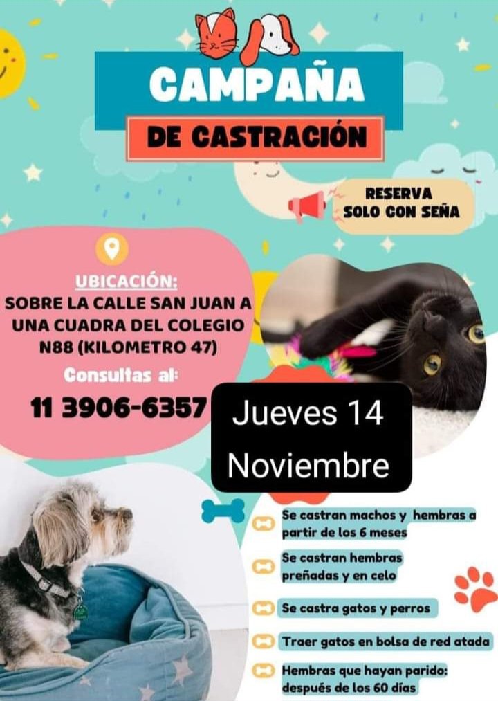 protegealanimal's tweet photo. #KM47 #LAMATANZA #MATANZA https://t.co/KafmV1XhYW