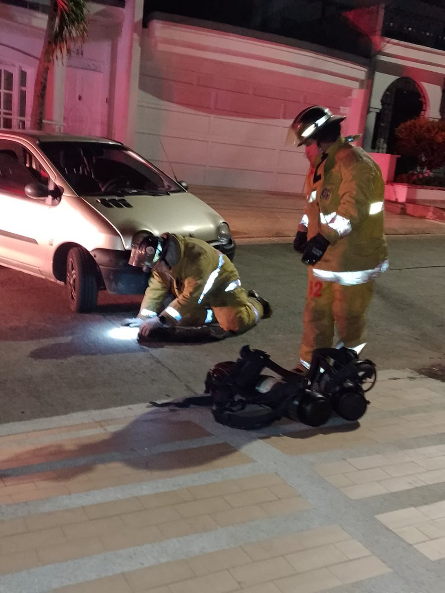 BomberosBuga's tweet photo. Bomberos atendió llamado de emergencia en el albergue, donde un gato se había quedado atrapado en el motor de un vehículo. Unidades 👨🏻‍🚒 actuaron de inmediato, logrando retirar al gato de forma segura. Luego, lo inmovilizaron y lo trasladaron a una veterinaria para su atención. https://t.co/Is4Z8LyhiD