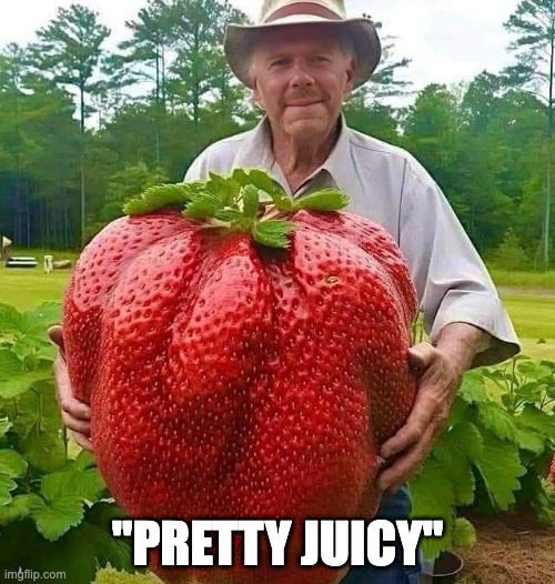 brvchss's tweet photo. "Pretty Juicy" staking rewards coming to #Algorand in early December #pleaseignore

Source: https://t.co/ZqAHZUJNCm https://t.co/SV8ptkU7it