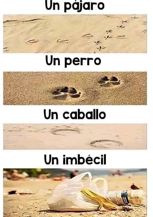 CorellaTej7982's tweet photo. #playas #playa #humanos #ecology #ecologia #Reflexión #ClimateCatastrophe #CambioClimático #change #earthalert #sand #dogs #respeto #green #verde #noplastic 🙂↕️🥴👇 https://t.co/Qe9ctGF1Jz