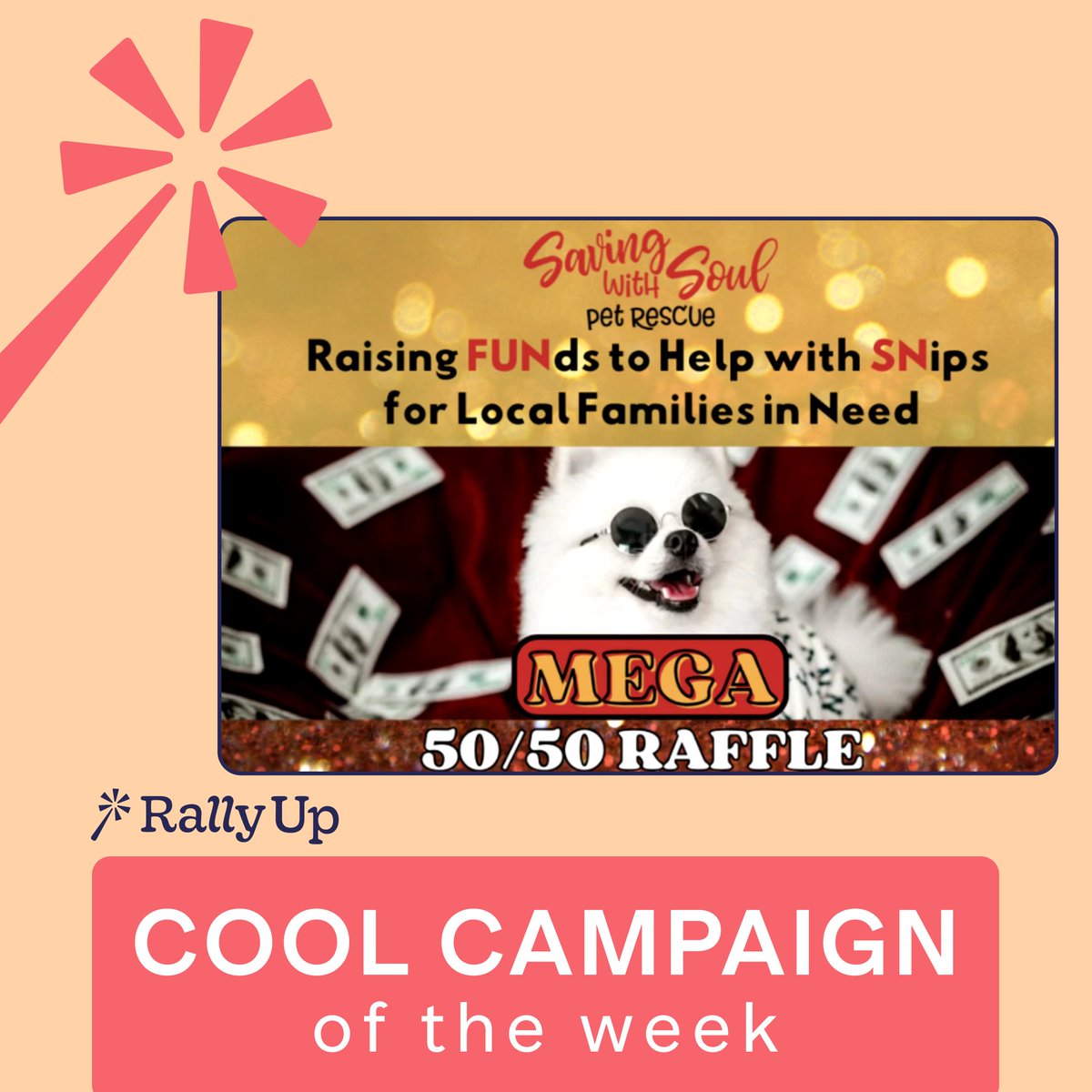 Saving with Soul Pet Rescue shows how easy it is to run a great 50/50 Raffle with a progress bar to galvanize the community. It's a smart time-saving fundraising move for busy people who want to spend more time on their cause! bit.ly/3O0KRNn
