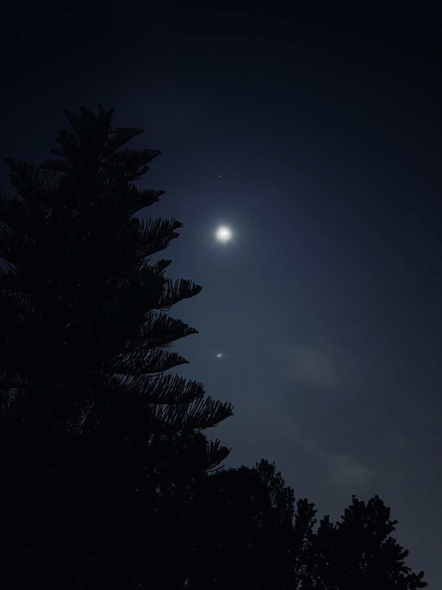 Rashmi 🌻 tweet media