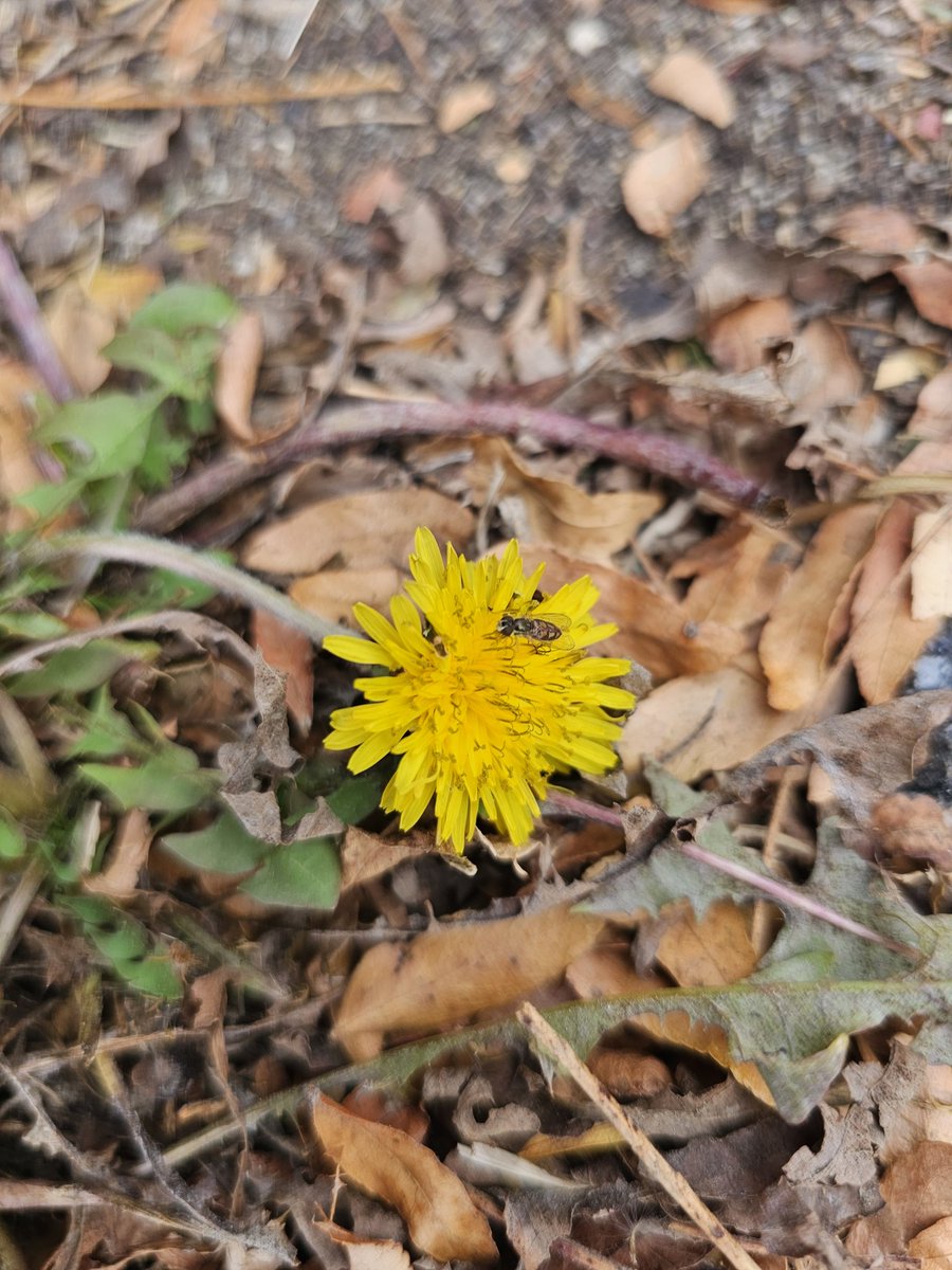 MariaUnfiltered's tweet image. Stay strong.  Byeeeeee!