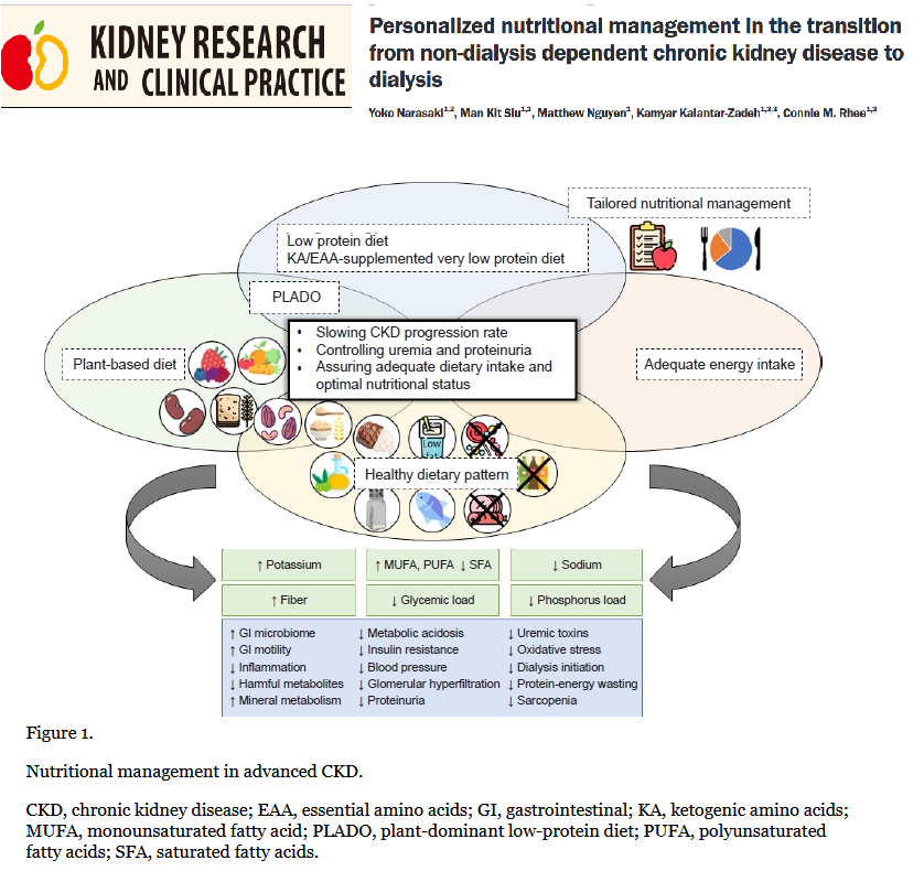 Kam Kalantar-Zadeh, MD, MPH, PhD (@kamkalantar) on Twitter photo Personalized nutritional management in the transition from non-dialysis dependent chronic kidney disease to dialysis
Kidney Research & Clinical Practice 2024
doi.org/10.23876/j.krc…
<a href="/ConnieMRhee/">Connie Rhee</a> Yoko Narasaki Man Kit Siu Matthew Nguyen
krcp-ksn.org/journal/view.p… Personalized nutritional management in the transition from non-dialysis dependent chronic kidney disease to dialysis
Kidney Research & Clinical Practice 2024
doi.org/10.23876/j.krc…
<a href="/ConnieMRhee/">Connie Rhee</a> Yoko Narasaki Man Kit Siu Matthew Nguyen
krcp-ksn.org/journal/view.p…