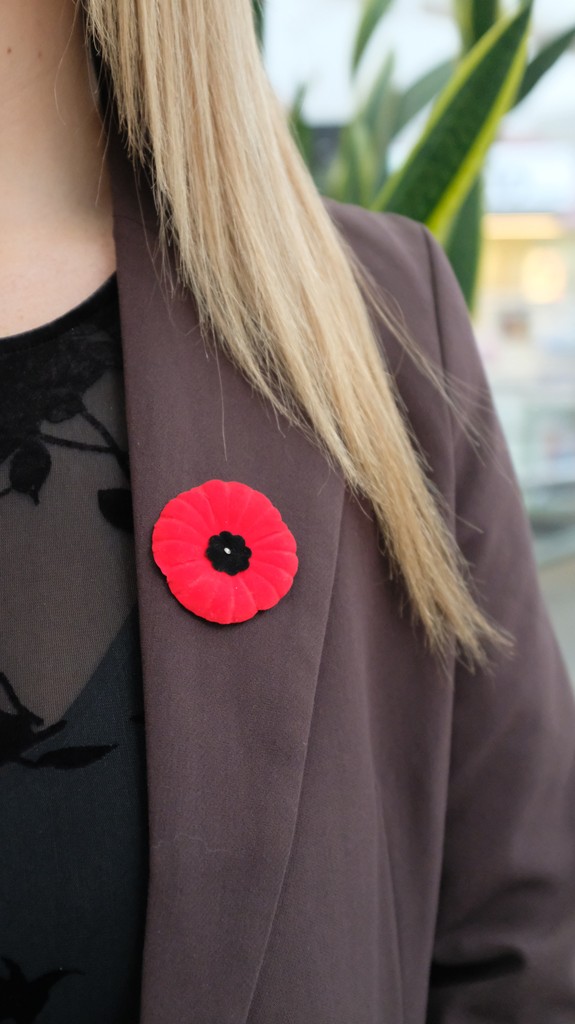 In honour of Remembrance Day, we will be open tomorrow, November 11th from 11:05am-5:00pm. #NNTC
⁠
Poppies are still on sale outside of London Drugs until tomorrow. All proceeds benefitting Veteran's support initiatives. #NeverForget