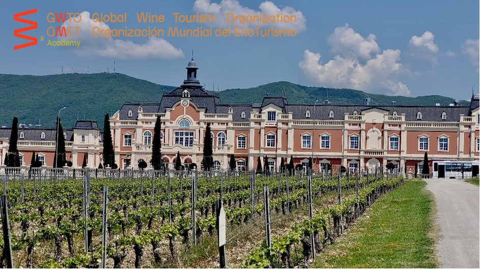 Happy Enotourism Day! 🍷🍇 Here’s to celebrating the journey, the passion, and the unique flavors that make every glass an experience. Cheers! 

¡Feliz Día del Enoturismo! 🍷🍇 Brindemos por el viaje, la pasión y los sabores únicos que hacen de cada copa una experiencia. ¡Salud!