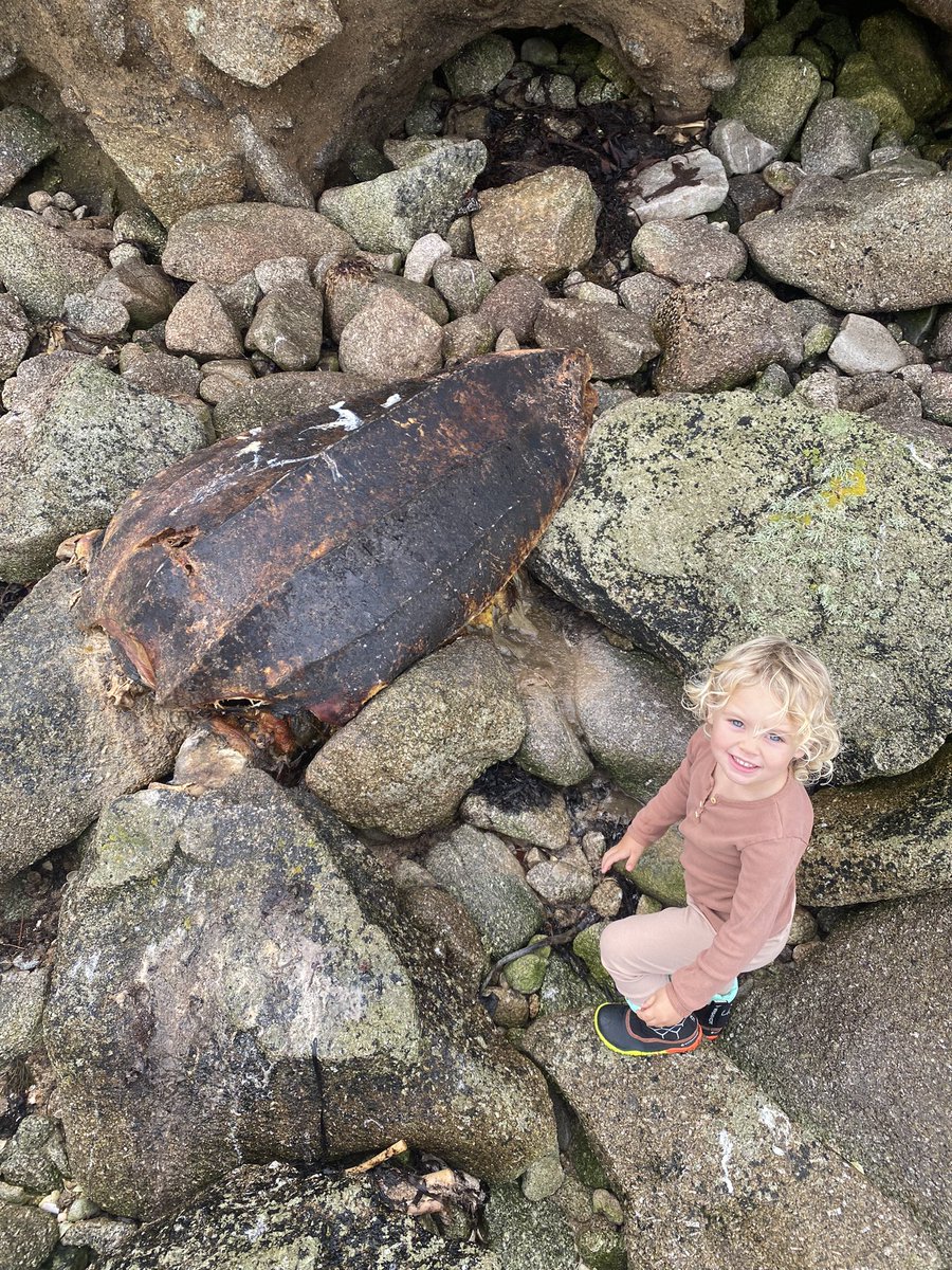 St. Mary’s Patch tweet media