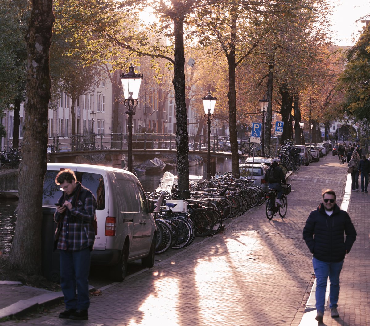 Hossein Nabilou tweet media