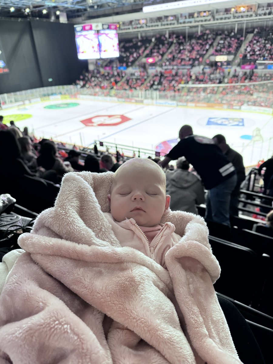 Attending her first <a href="/steelershockey/">TriggerHub Sheffield Steelers</a> match at 8 weeks old🧡🏒 #steelershockey #SheffieldSteelers