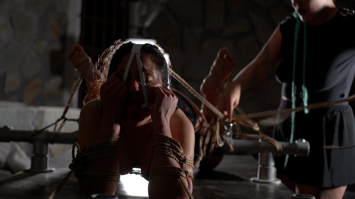 NuShibari tweet media