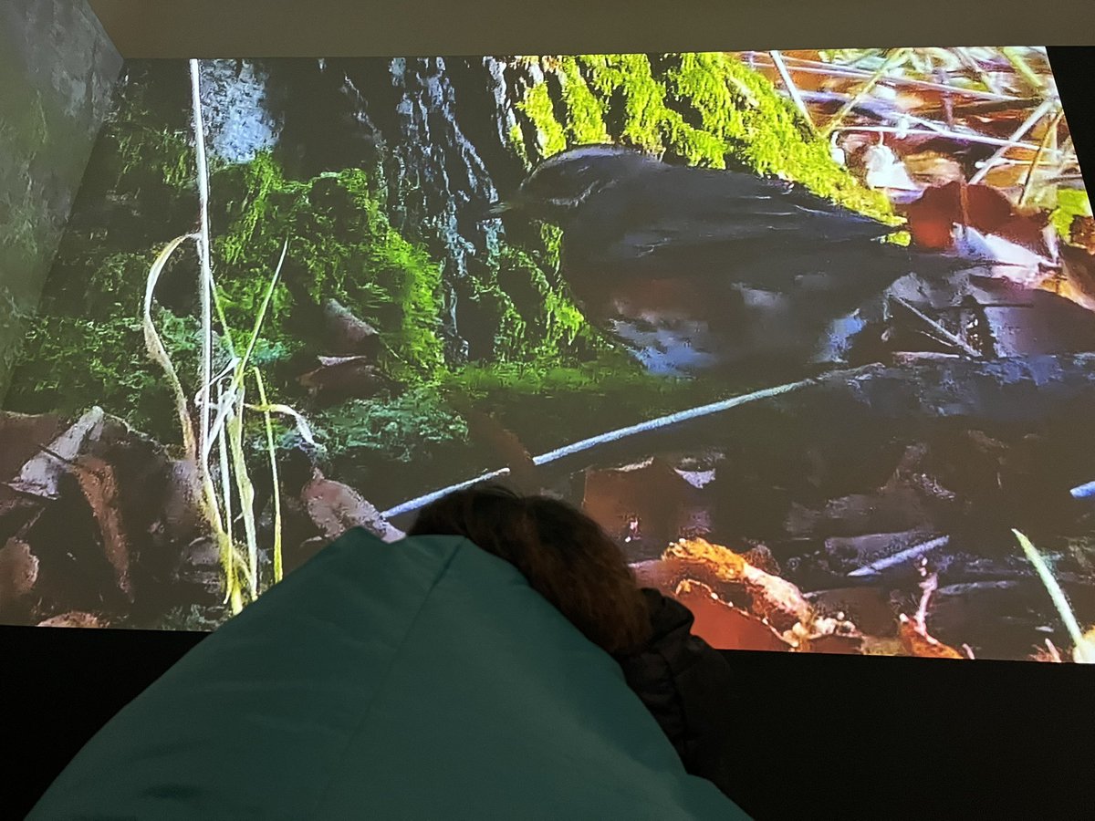 Alice Lu tweet media