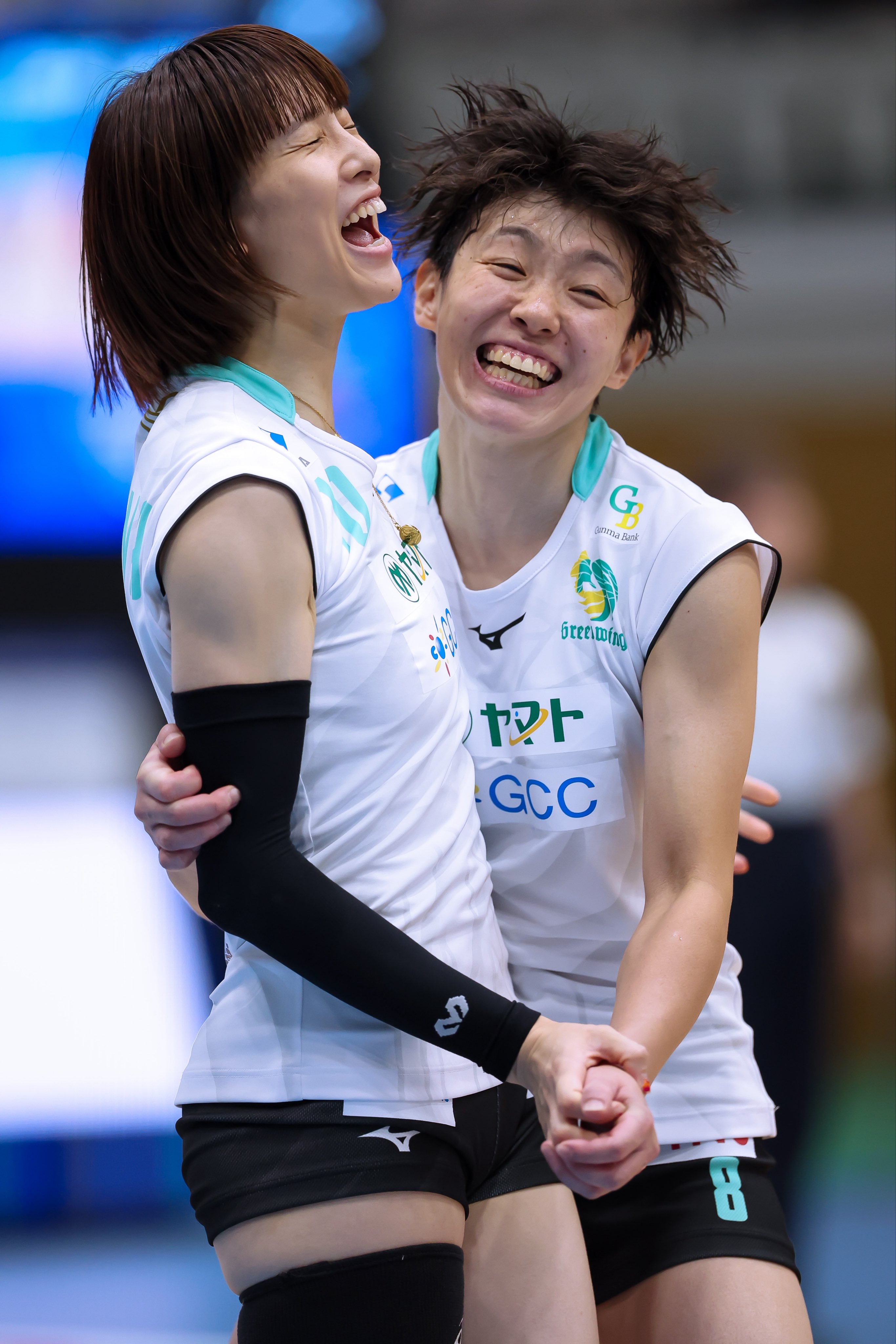 白岩蘭奈選手　応援Tシャツ未開封未使用 白岩蘭奈選手 応援Tシャツ未開封未使用 白岩蘭奈選手 応援