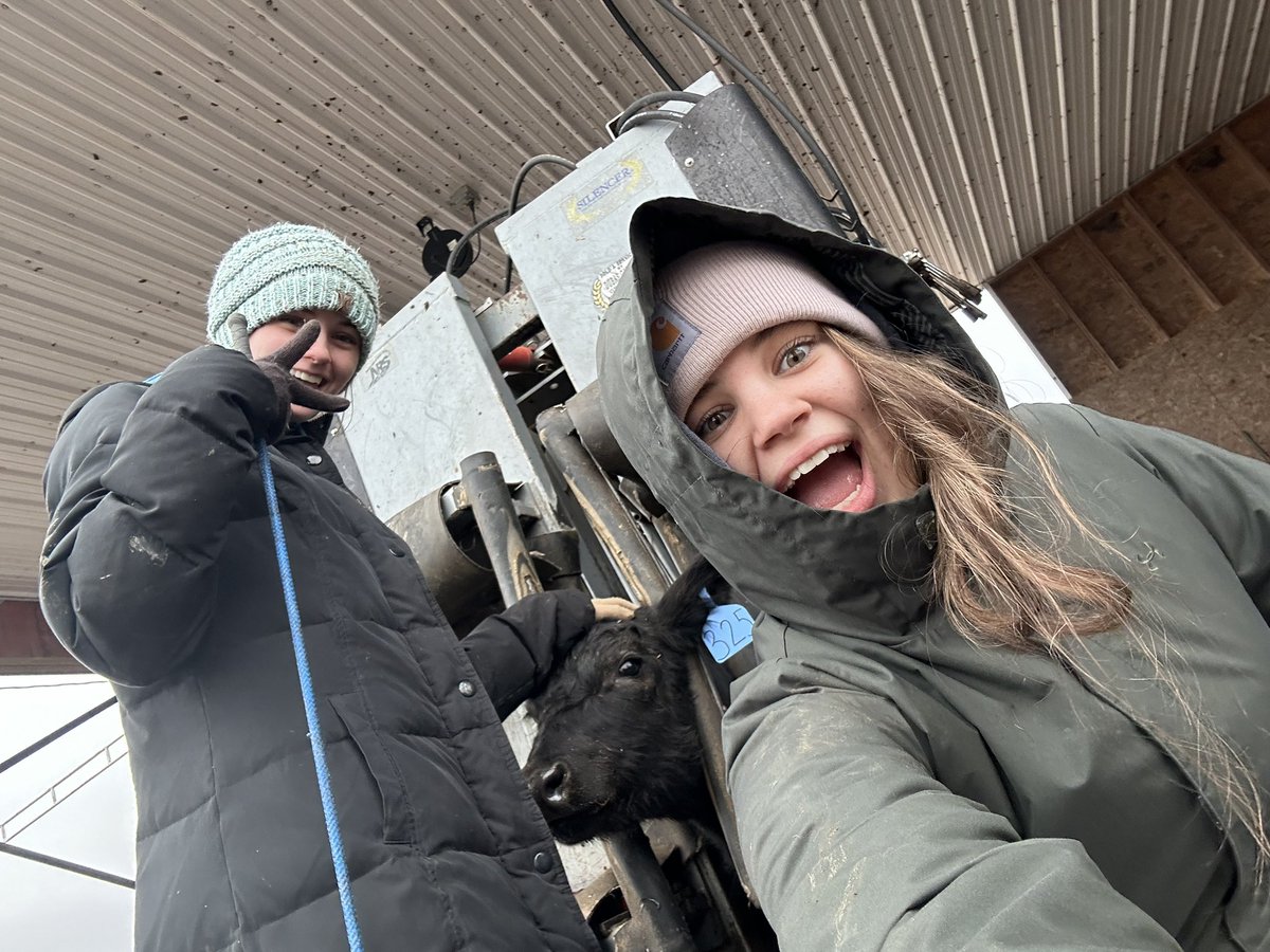 They were overly excited to work cattle today. But they did a hell of a job. 

<a href="/SwedlundOlivia/">Olivia Swedlund</a> <a href="/SwedlundSara/">sara swedlund</a>