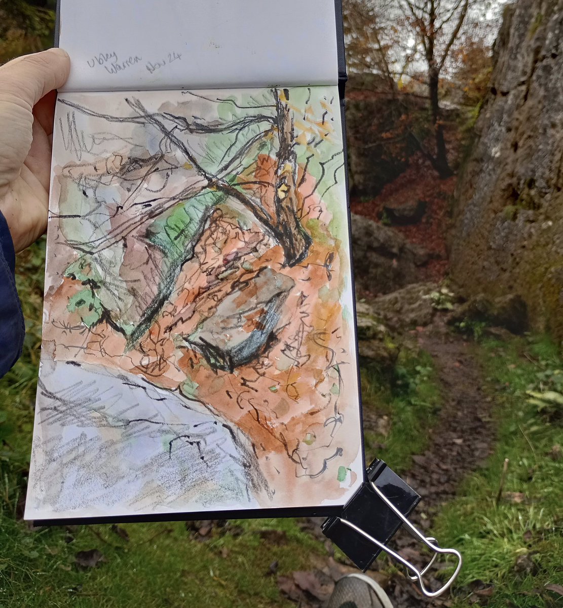 Ubley Warren, Mendips today. Watercolour and inktense pencil. #sketchbook #ubleywarren
