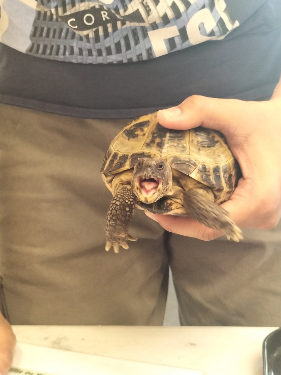 Dr. Barry Houlihan tweet media