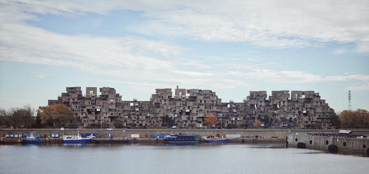 RealMyop tweet media