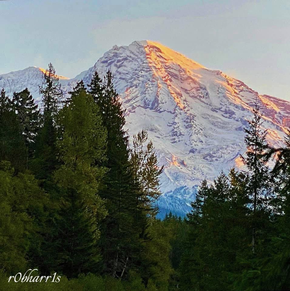 r0bharr1s's tweet photo. “Russ! Up’n At’m.” 😃

📍Mount Rainier NP; Upper Left, USA
#mtrainier #ournationalparks #upperleftusa #ventureout #traversethepnw #gooutside https://t.co/XQWijdmcSx