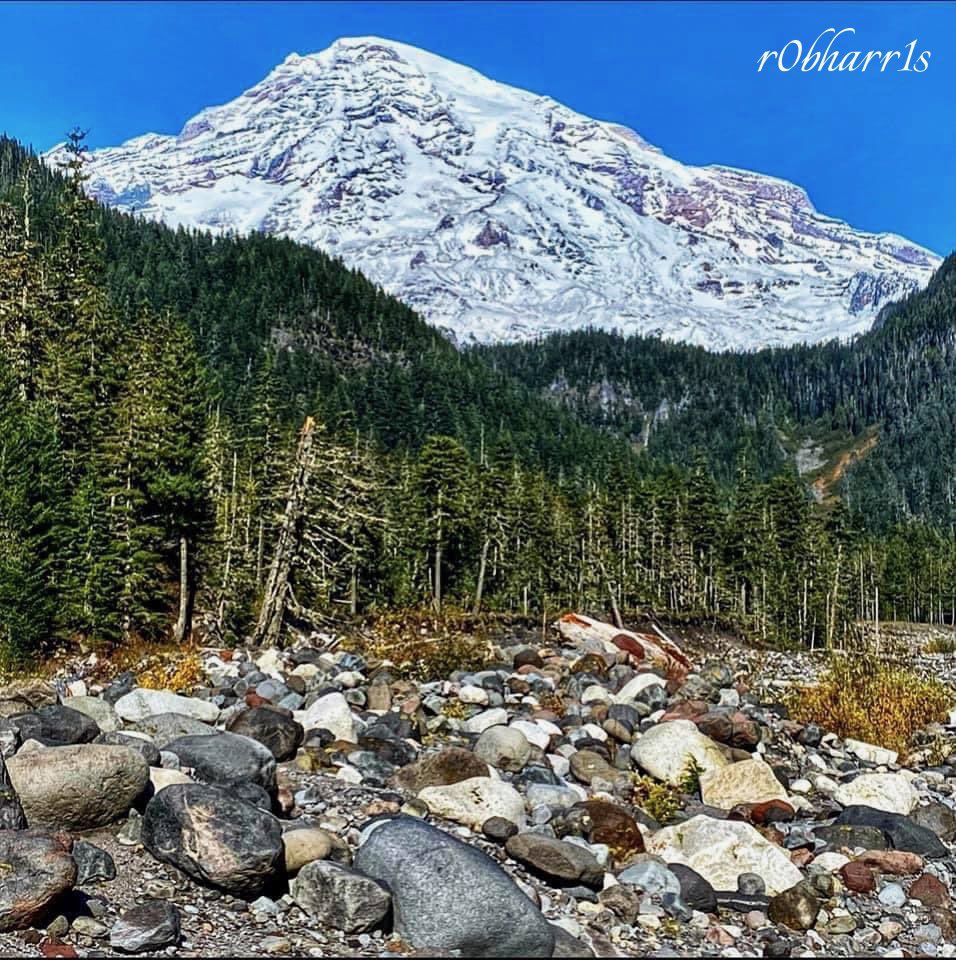 r0bharr1s's tweet photo. “Russ! Up’n At’m.” 😃

📍Mount Rainier NP; Upper Left, USA
#mtrainier #ournationalparks #upperleftusa #ventureout #traversethepnw #gooutside https://t.co/XQWijdmcSx