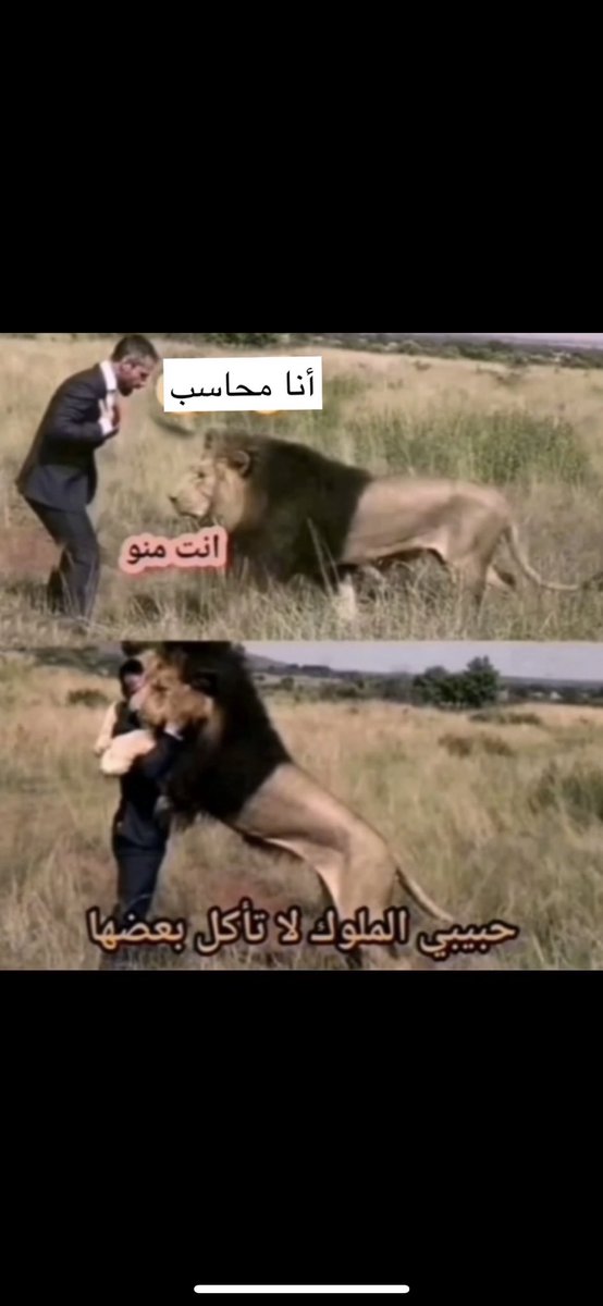 بمناسبة #اليوم_العالمي_للمحاسبة 🤣💪🏻