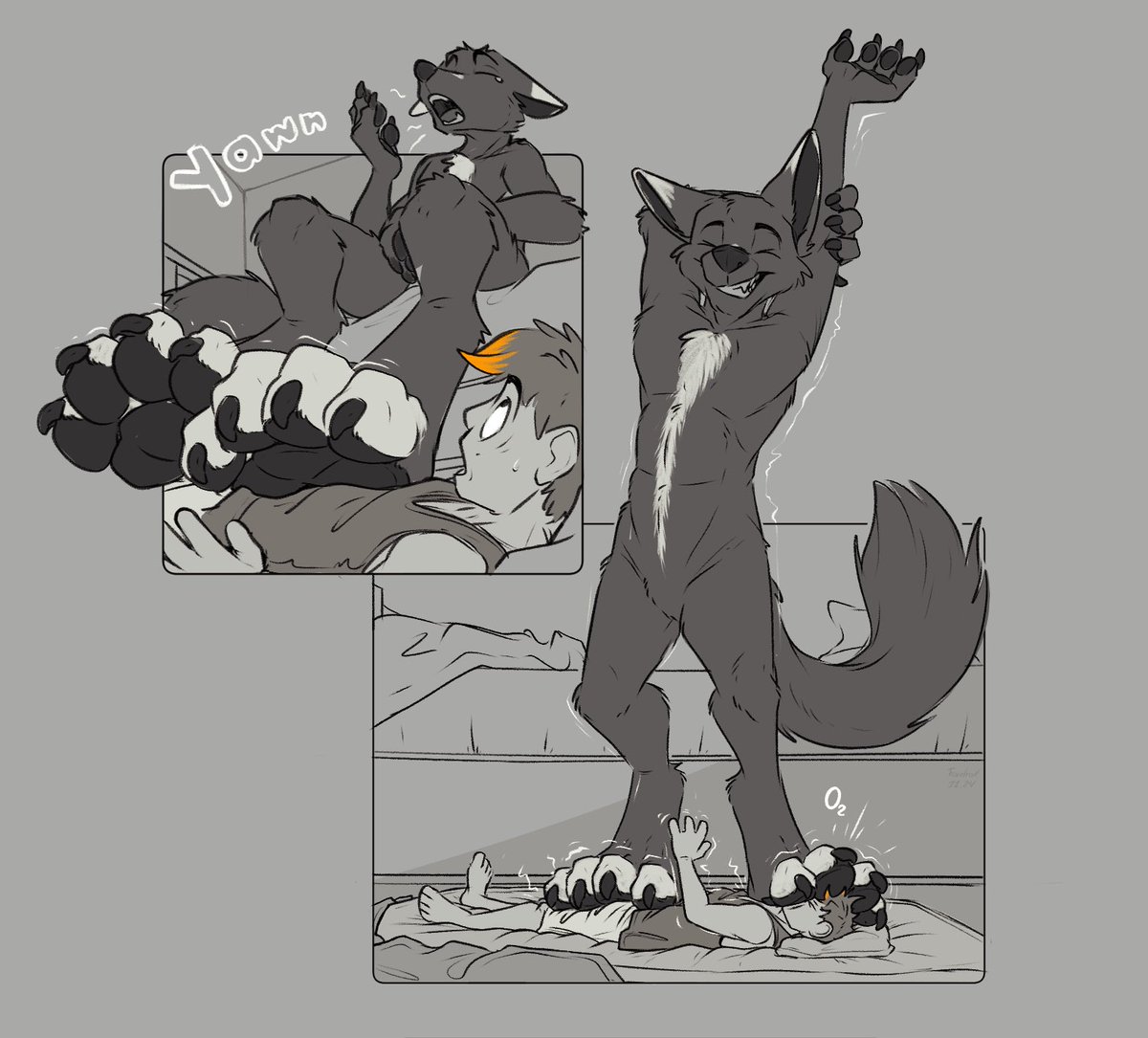 Coal 🔜 FWA tweet media