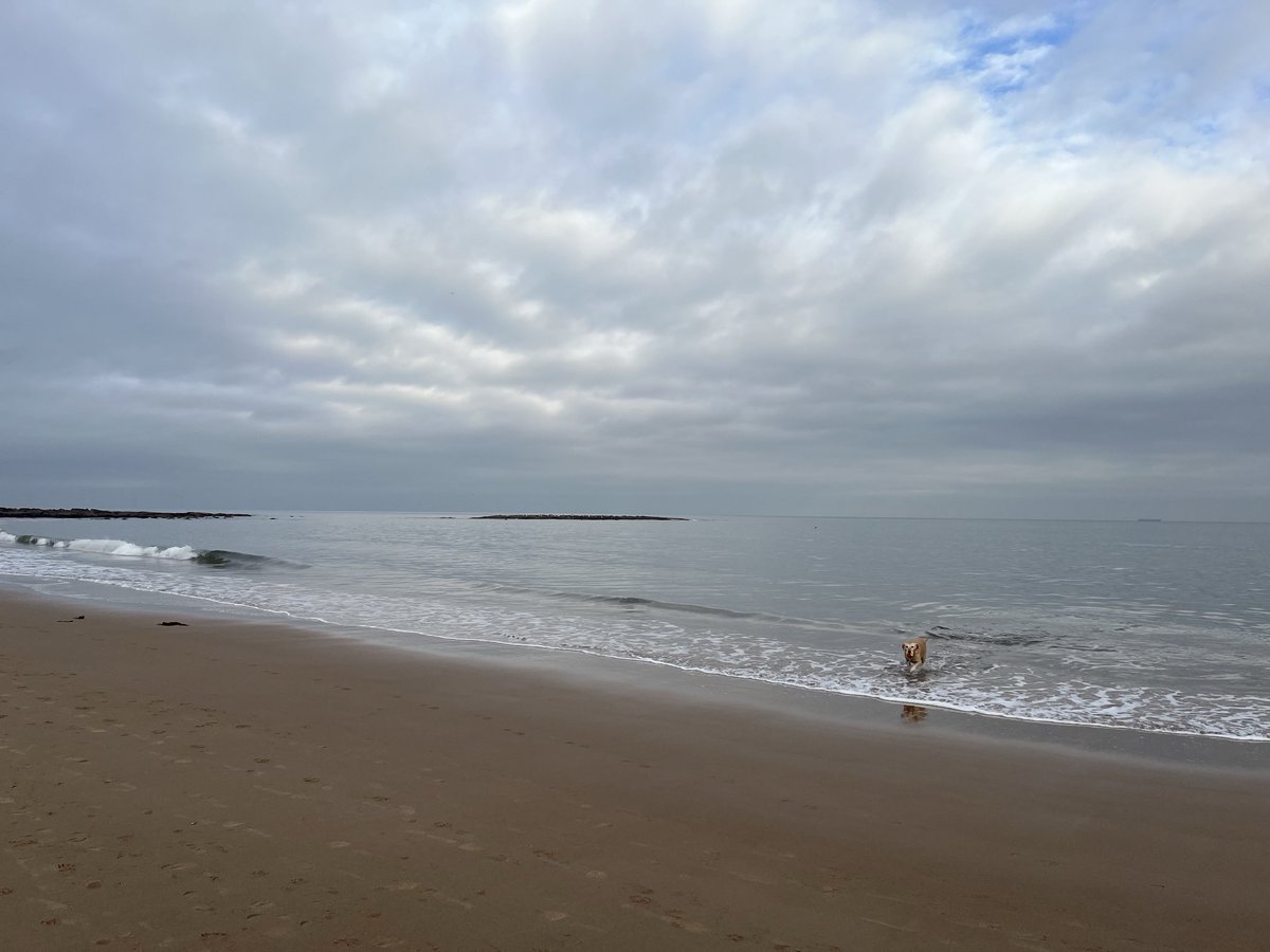 Fun at the beach #101124