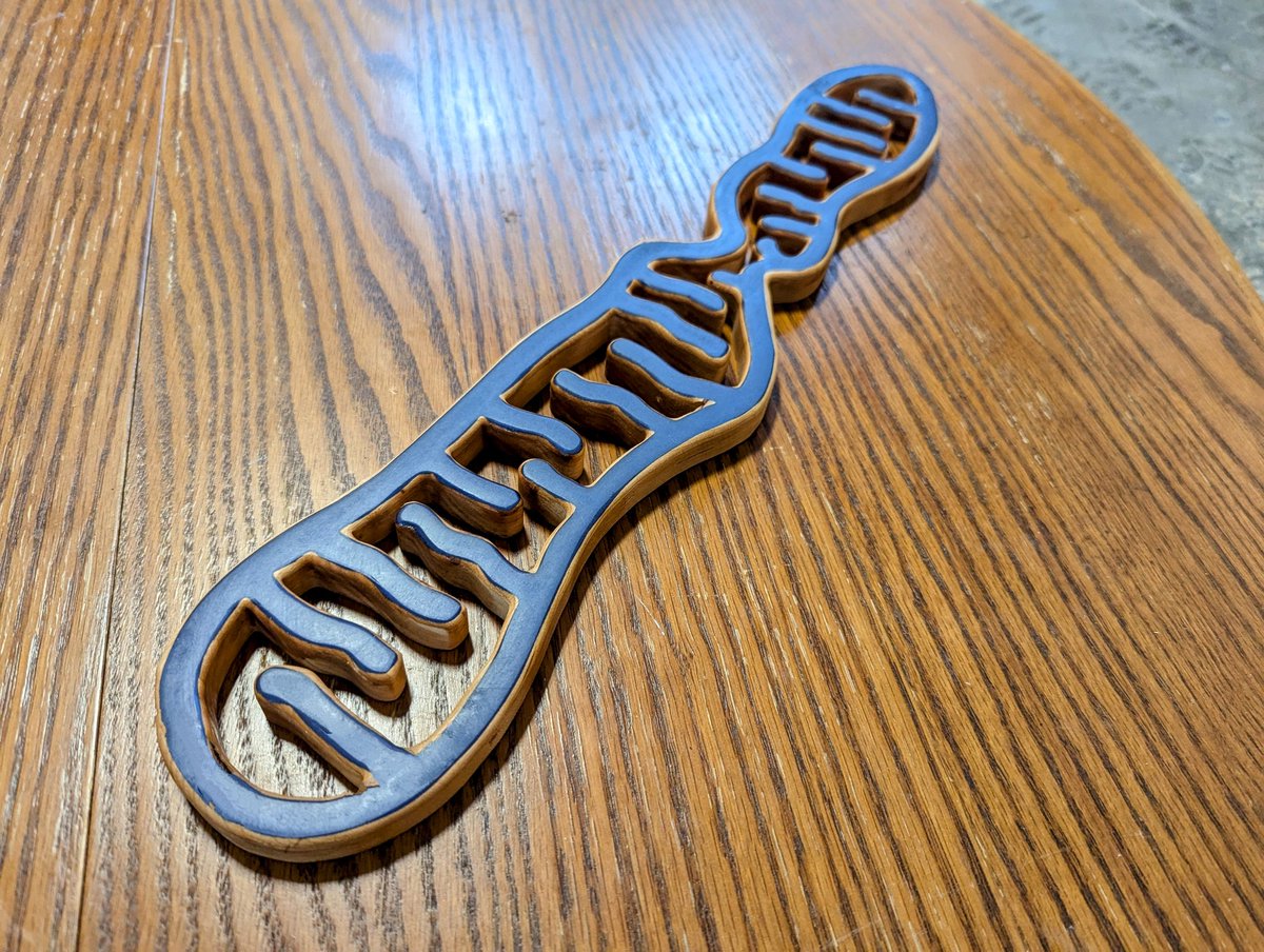 NeuroWoodworks tweet media