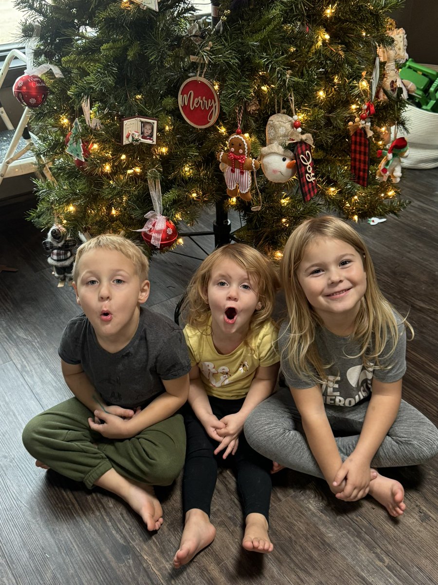 stacymunson24's tweet photo. Seeing the excitement from our 3 oldest grandchildren as they “decorated” our tree was priceless!🎄🎅🏼#ChristmasMagic #gigix4 #CJwasnapping https://t.co/JBXSeMKrww