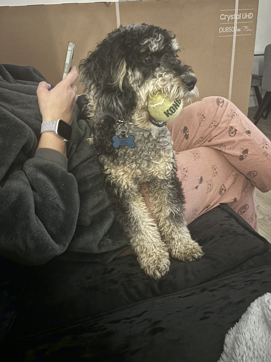 🎀HANNAH🎀 tweet media