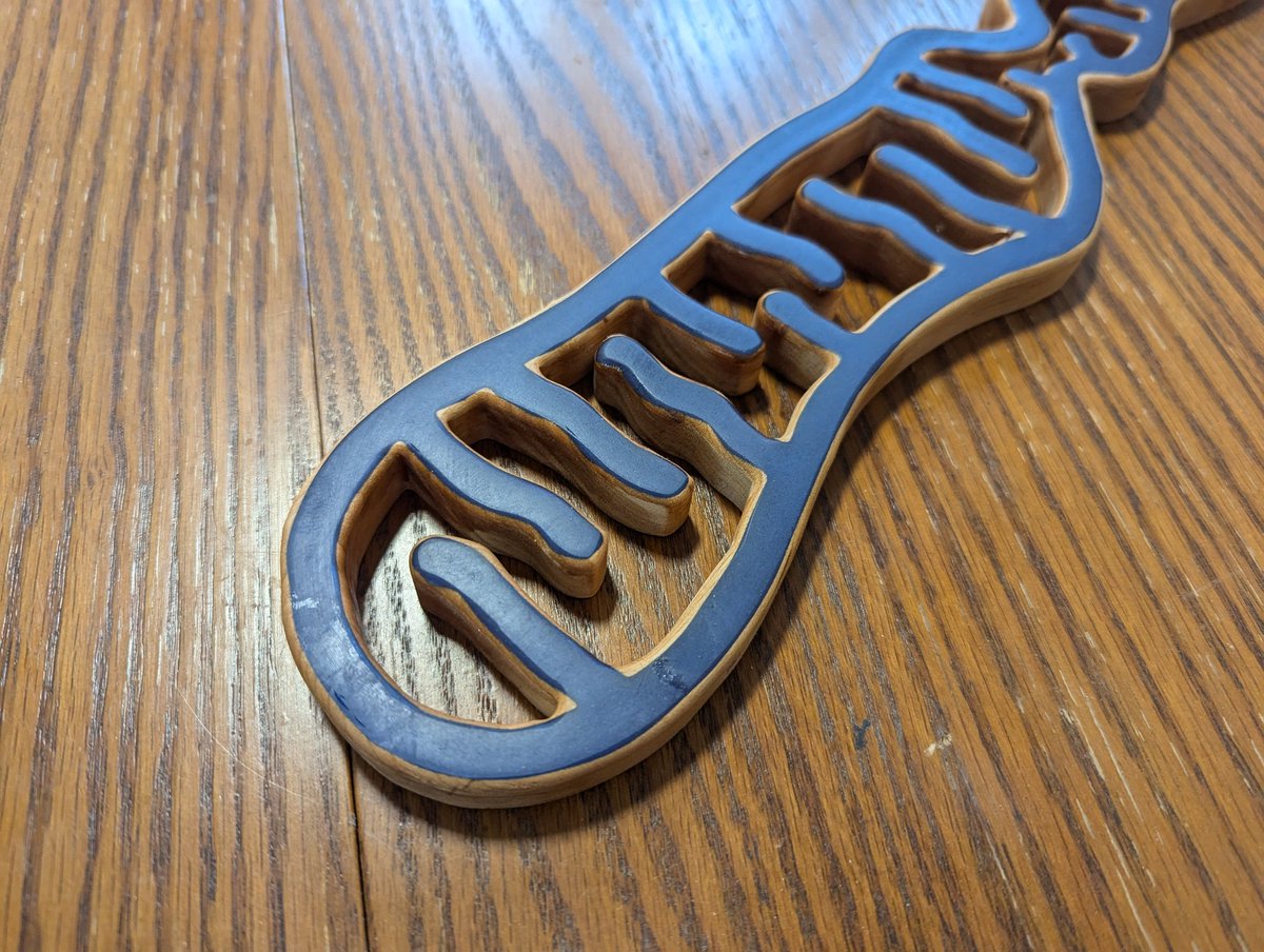 I tried something new today. This is a mitochondrion undergoing fission. I cut, filled with epoxy, and cut again so the double membrane is apparent. #biology #attemptatArt