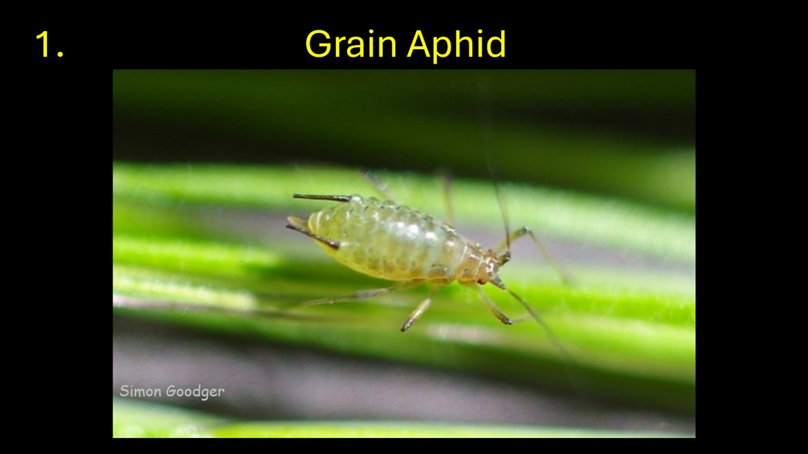 Simon Goodger tweet media