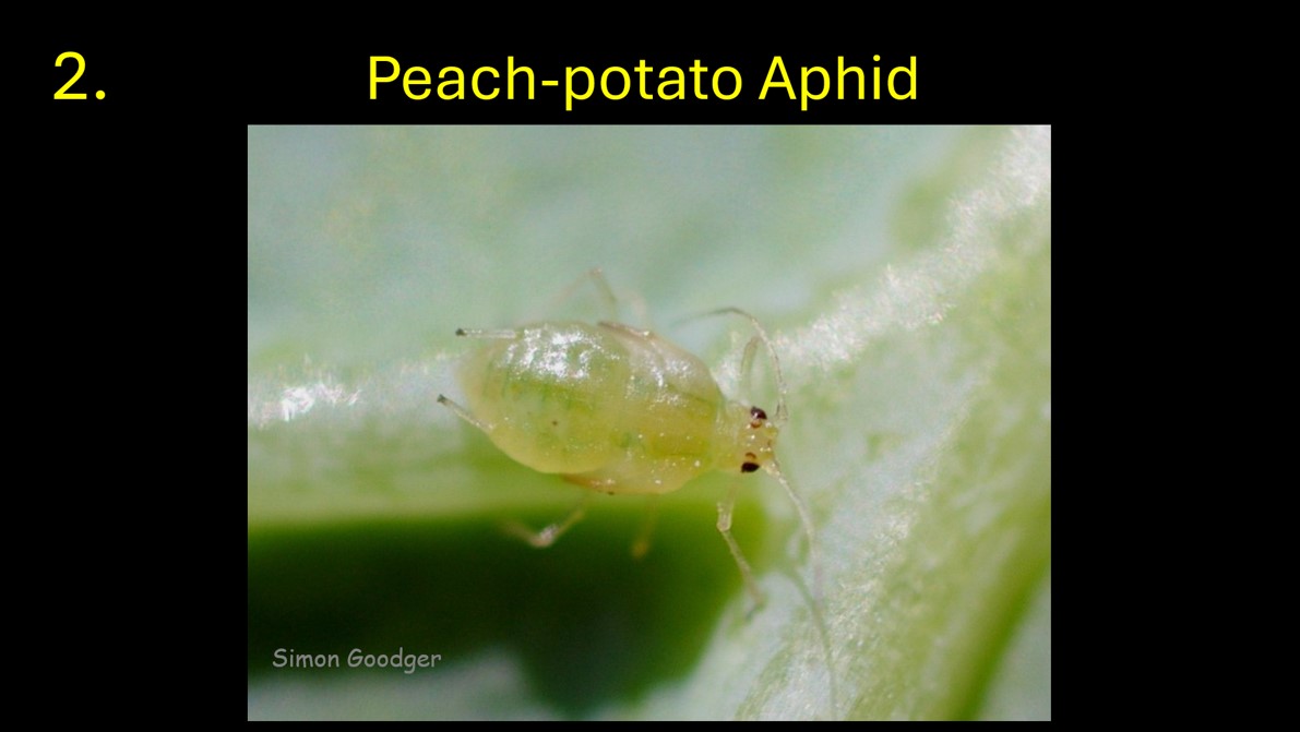 Simon Goodger tweet media