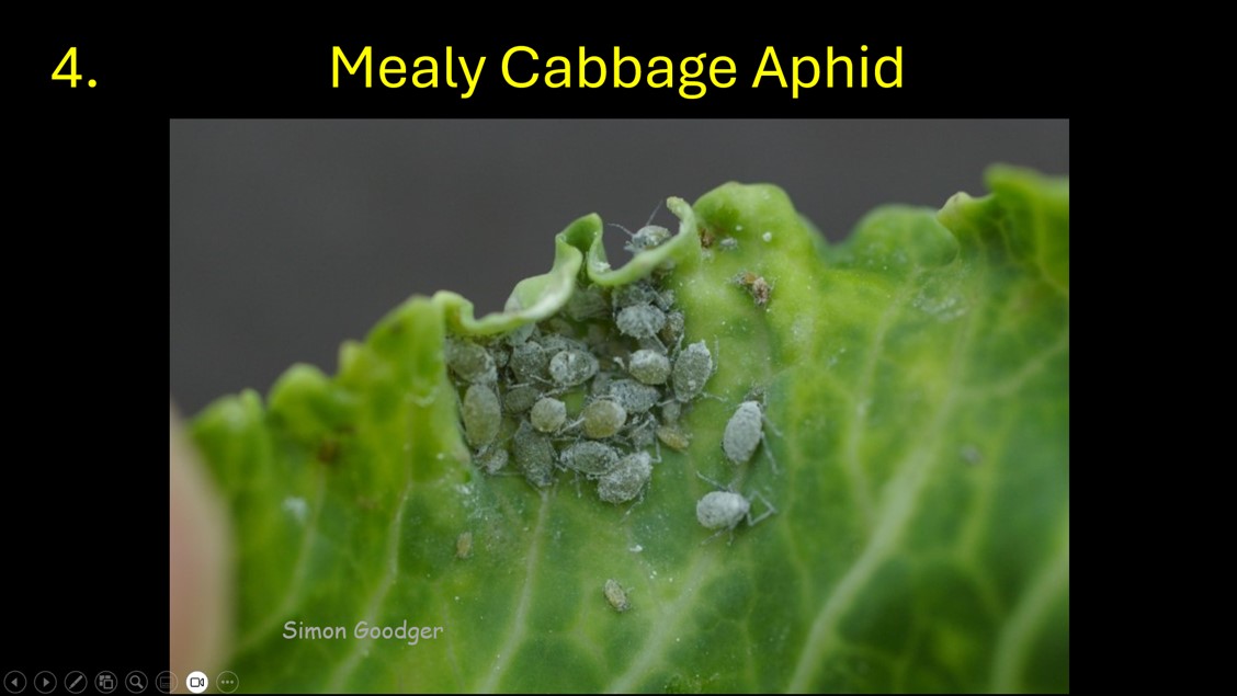 Simon Goodger tweet media