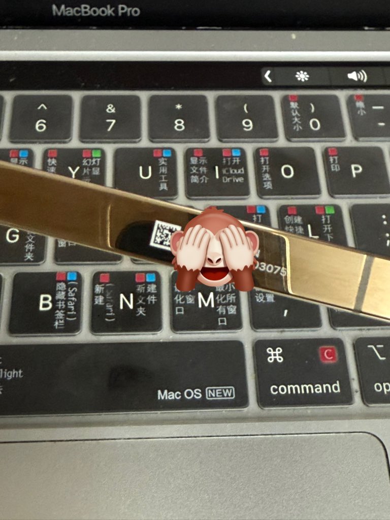 13pro max DVT cpfm01  SWitchboard ios15.0