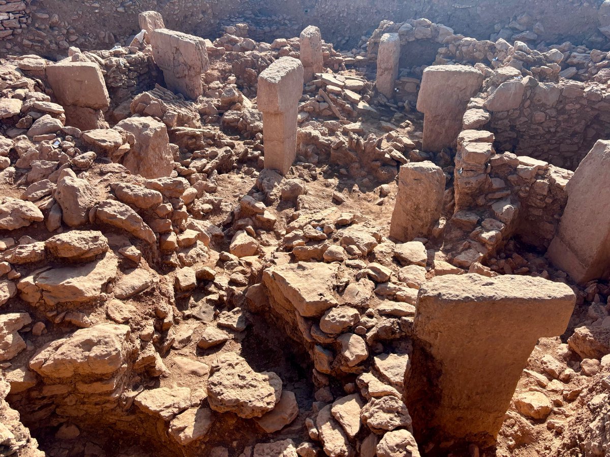 SabinaCvecek's tweet image. The first @WNC2024 was a great success! It was a real pleasure to see these fantastic new sites, listen to great talks, and try to understand neolithic lifeways on a global scale. Looking forward to reconvene in four years! @oeai_oeaw @oeaw @FieldMuseum