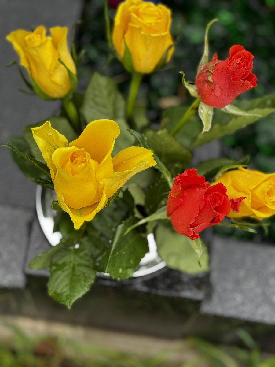 Attended the annual blessing of graves in Gillingham this afternoon,a special time to pause and remember. 

It’s always meaningful, keeping the memory of mum and Dad close. 

The loss of parents is something you never truly get over — you just learn to carry it with you ❤️❤️🙏