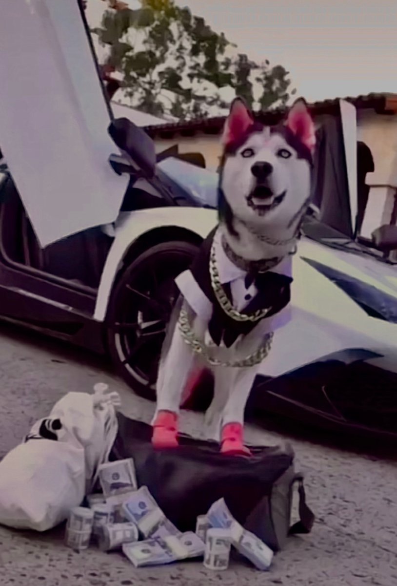 Sellers don’t(can’t) realize that 
How big is the mean of wolf+dog meme combination for Starknet🐺🐶

When you realize it will be too late 

if you are holder , u will be like $SWAGGY 🔥👇