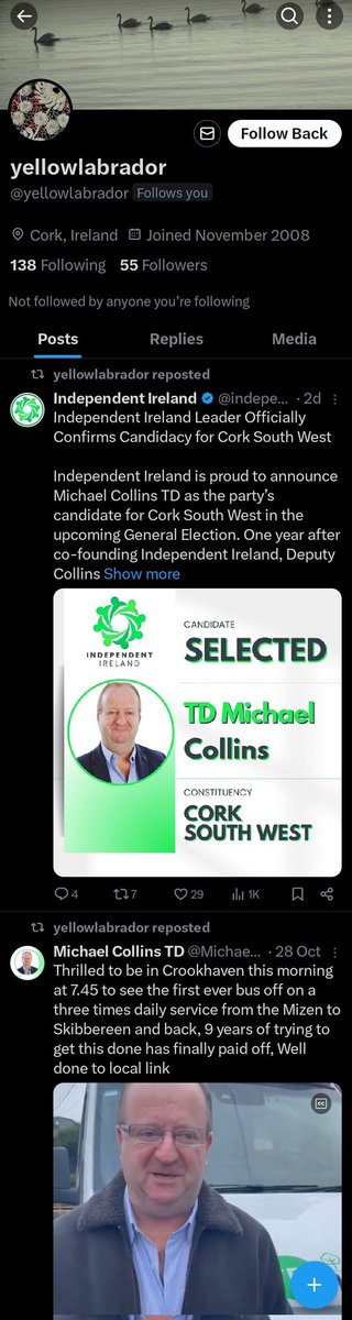 Rewilding Ireland tweet media