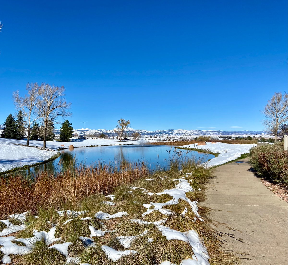 First neighborhood hike since the big snowstorm. The Big Melt is already well underway…